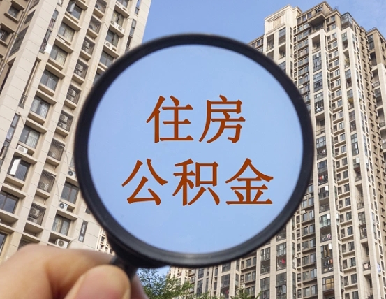 南城退休后查不到公积金明细了吗（退休后公积金查询不到原因）